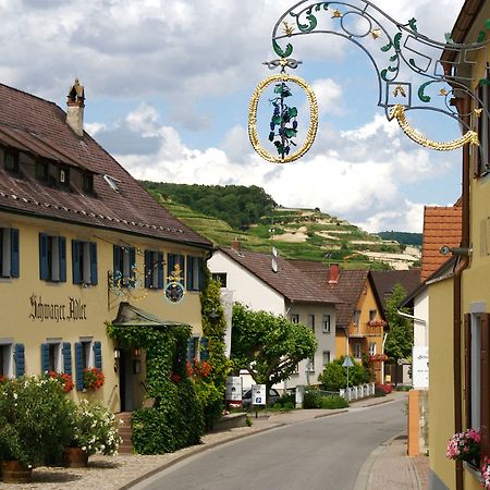 Готель Schwarzer Adler Фоґтсбурґ Екстер'єр фото
