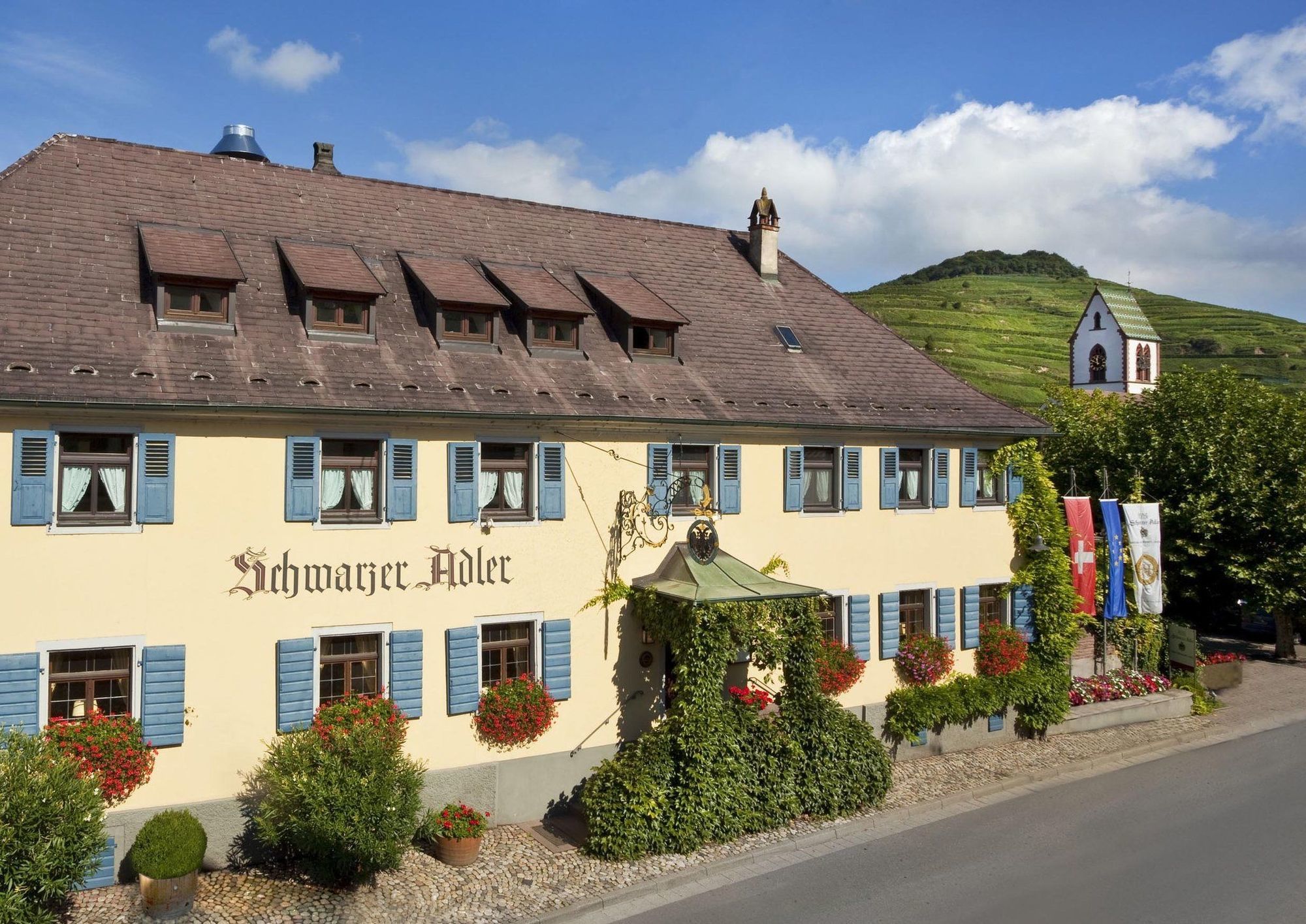 Готель Schwarzer Adler Фоґтсбурґ Ресторан фото